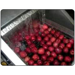 fruit conveyor
